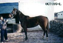 ���ް��� (OMEGA BELLE) ����