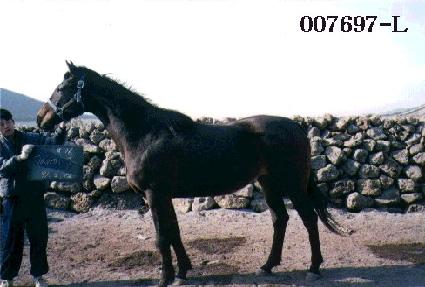 ���̹����� ����