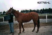 �ڵ������� (TELL THEM GOODBYE) ����