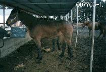 ����Ŀ (TAKER) ����