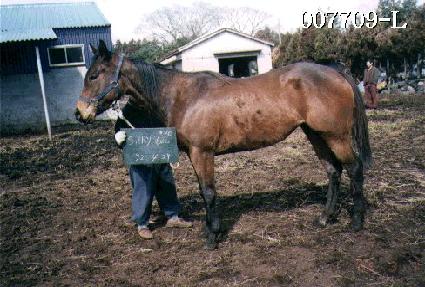 ��Ű�� ����