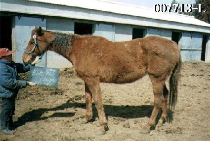 �������� ����