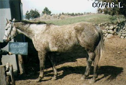 ü�������� ����