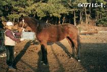 RUN TO THE STORE picture