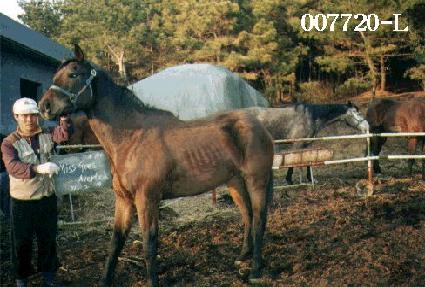 �̽��㽺���Ƽ�� ����