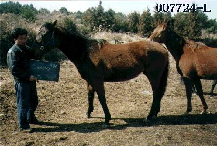 ���� ����