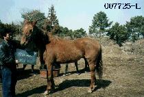 �̽��� (MISS FALL) ����