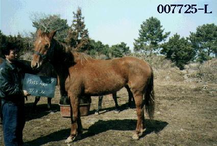 �̽��� ����