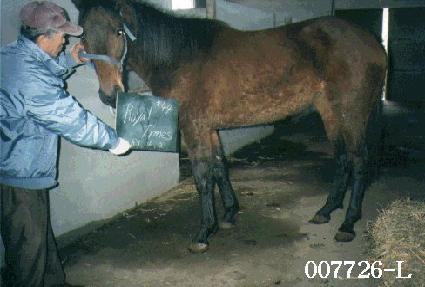 �ξ�Ÿ���� ����