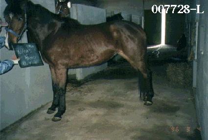 �������ҽ� ����