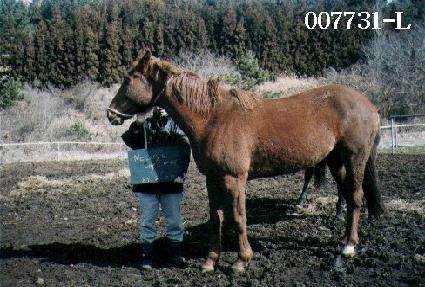 ��Ÿ������ ����