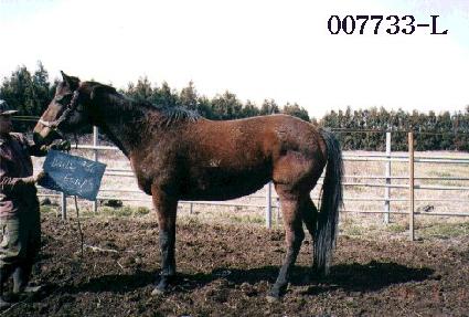 ������Ŭ���� ����