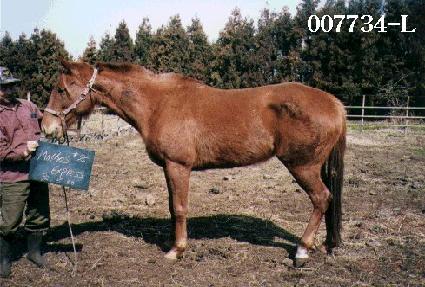 ���ݽ��ͽ������� ����