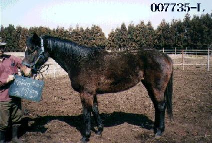 ���ݹ̸��� ����