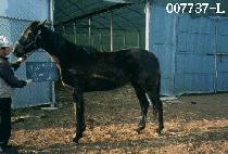 �̽������� (MISS DELMAR D) ����