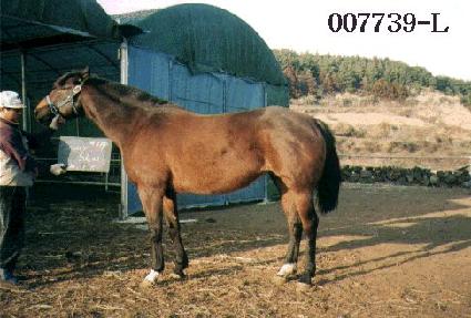 �ҽý��� ����