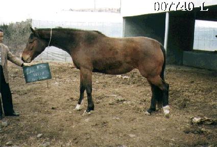 ���̴��� ����