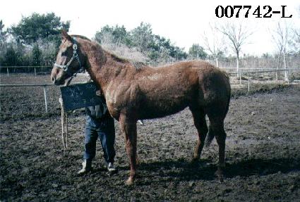 ����Ƽ���̺� ����