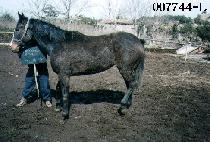 Ʈ�縱���̾����Ƽ (TRUE RELIABILITY) ����