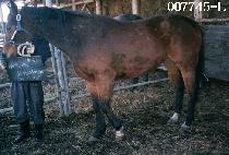 �봺��������� (NONEWS IS GOODNEWS) ����