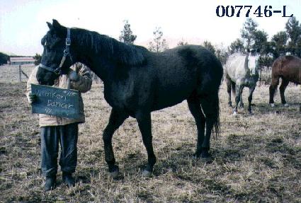 �巷ū���� ����