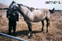 �����̼�Ʈ�� (IMPATIENT YOU) ����