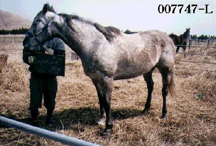 �����̼�Ʈ�� ����