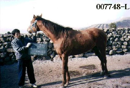 �����Ʈ���̽� ����