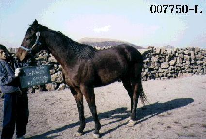 �ֵ�������Ŀ�� ����