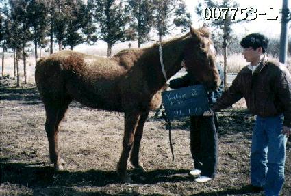 ��Ű�� ����