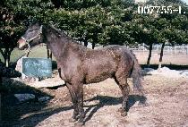 �������� (NO ONE KNOWS) ����