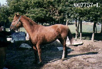 �������̽�Ʈ ����