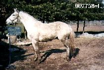 ĳ����̼� (CACHES�� MISSION) ����