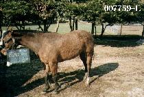 ȩ���н�Ʈ�� (HOPE��S PAST DUE) ����