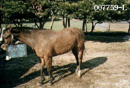 ȩ���н�Ʈ�� ����