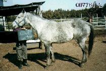 ��ġ����� (LAUNCH AWAY) ����