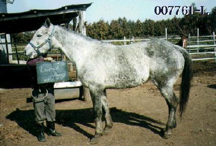 ��ġ����� ����