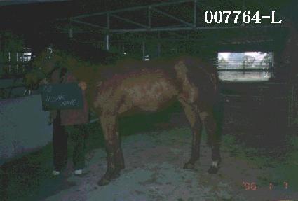 Ƽ����̺� ����