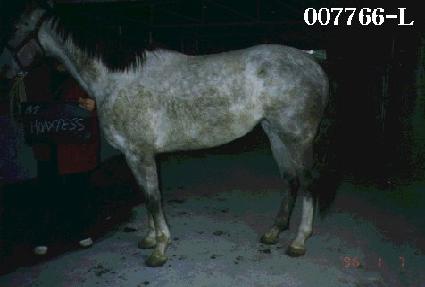 Ȥ��Ƽ�� ����