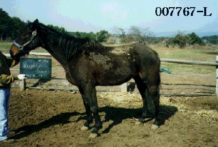 ��Ƽ���� ����