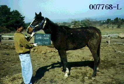 �÷�ũ���� ����