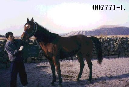 �̽�Ƽ���� ����