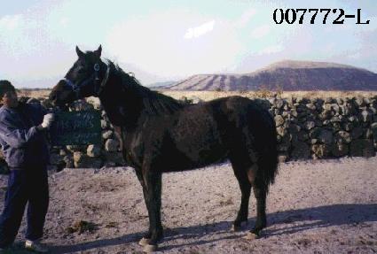 ��������ũ���� ����