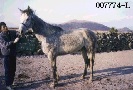 �ǹ��� ����