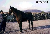 �ƿ�Ű���⼼�� (OUR KEYTOSUCCESS) ����