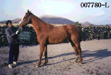 ��������� ����