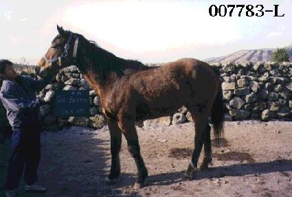 �ֹ��� ����