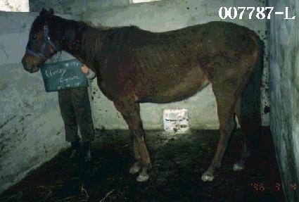 ��긮���ڸ� ����