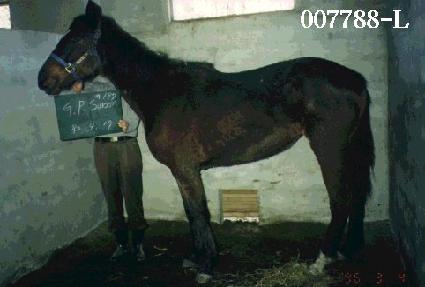 ���ǽ��� ����