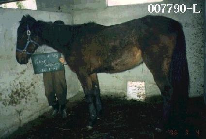 ��Ŀ���� ����